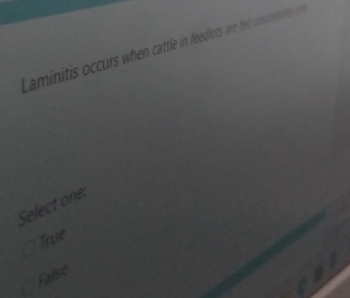 Laminitis occurs when cattle in feedlots are fed concentates o 
Select one:
True
False