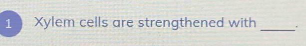 Xylem cells are strengthened with 
_