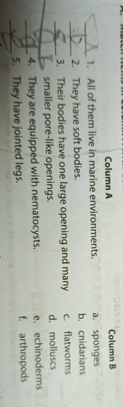 Column A Column B
_
1. All of them live in marine environments. a. sponges
_2. They have soft bodies.
b. cnidarians
_
3. Their bodies have one large opening and many c. flatworms
_smaller pore-like openings. d. molluscs
_4. They are equipped with nematocysts. e. echinoderms
_5. They have jointed legs. f. arthropods