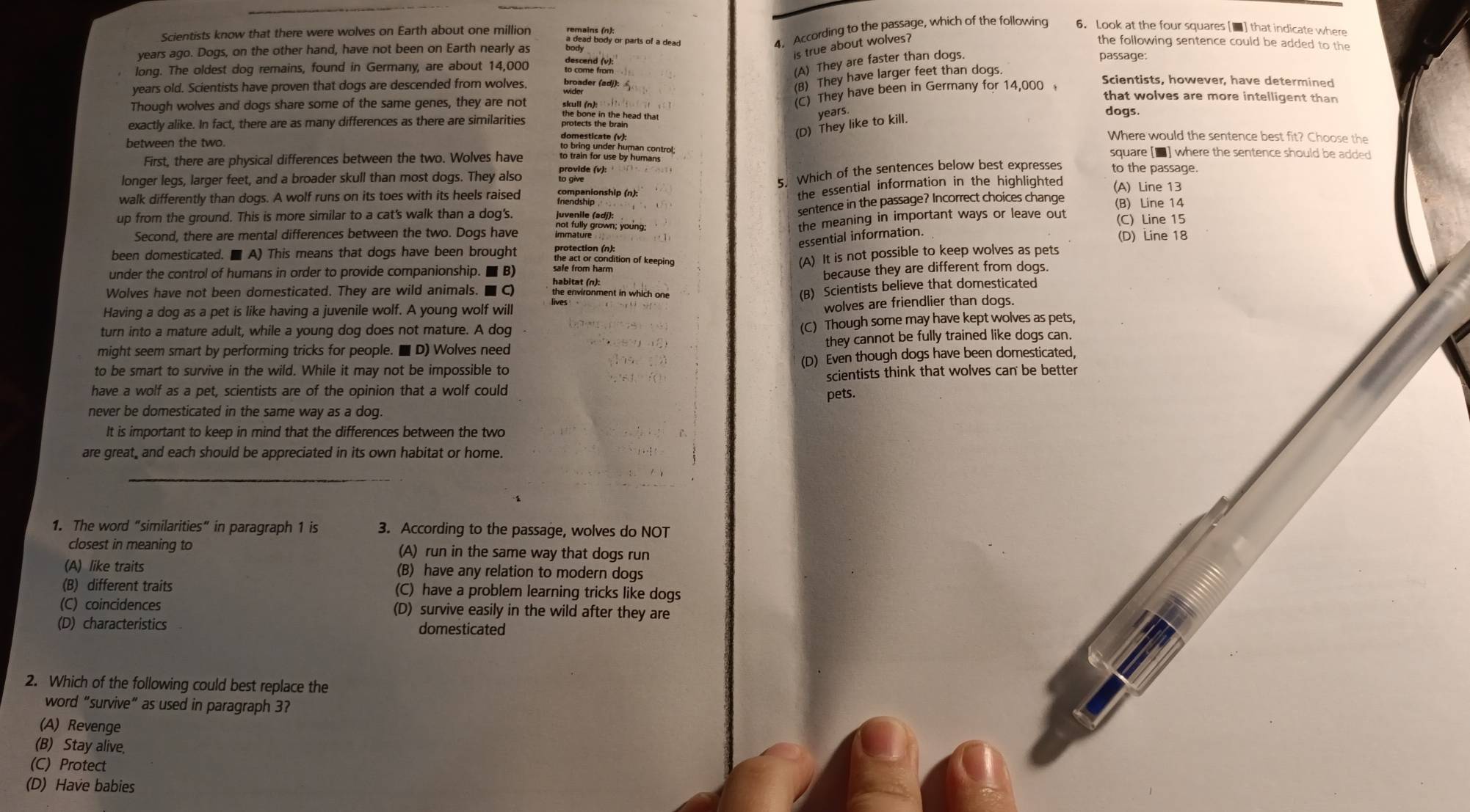 Scientists know that there were wolves on Earth about one million
4、 According to the passage, which of the following 6. Look at the four squares [■] that indicate where
s true about wolves?
the following sentence could be added to the
years ago. Dogs, on the other hand, have not been on Earth nearly as passage:
long. The oldest dog remains, found in Germany, are about 14,000
(A) They are faster than dogs.
(8) They have larger feet than dogs.
years old. Scientists have proven that dogs are descended from wolves. brgader (ədj):
Though wolves and dogs share some of the same genes, they are not
(C) They have been in Germany for 14,000
Scientists, however, have determined
that wolves are more intelligent than
exactly alike. In fact, there are as many differences as there are similarities
years.
dogs.
domesticate (v):
(D) They like to kill.
Where would the sentence best fit? Choose the
between the two. to bano jundes byrman control. square [■] where the sentence should be added
First, there are physical differences between the two. Wolves have
5. Which of the sentences below best expresses to the passage.
longer legs, larger feet, and a broader skull than most dogs. They also provide (v):
the essential information in the highlighted (A) Line 13
walk differently than dogs. A wolf runs on its toes with its heels raised menganionship (n): (B) Line 14
up from the ground. This is more similar to a cat's walk than a dog's.
sentence in the passage? Incorrect choices change
the meaning in important ways or leave out
Second, there are mental differences between the two. Dogs have (C) Line 15
essential information.
been domesticated. ■ A) This means that dogs have been brought (D) Line 18
(A) It is not possible to keep wolves as pets
under the control of humans in order to provide companionship. ■ B) sale from harm
because they are different from dogs.
Wolves have not been domesticated. They are wild animals. ■  C) habitat frment in which one
(B) Scientists believe that domesticated
Having a dog as a pet is like having a juvenile wolf. A young wolf will
wolves are friendlier than dogs.
turn into a mature adult, while a young dog does not mature. A dog
(C) Though some may have kept wolves as pets,
might seem smart by performing tricks for people. ■ D) Wolves need they cannot be fully trained like dogs can.
to be smart to survive in the wild. While it may not be impossible to (D) Even though dogs have been domesticated,
have a wolf as a pet, scientists are of the opinion that a wolf could pets. scientists think that wolves can be better
never be domesticated in the same way as a dog.
It is important to keep in mind that the differences between the two
are great, and each should be appreciated in its own habitat or home.
_
1. The word “similarities” in paragraph 1 is 3. According to the passage, wolves do NOT
closest in meaning to (A) run in the same way that dogs run
(A) like traits (B) have any relation to modern dogs
(B) different traits (C) have a problem learning tricks like dogs
(C) coincidences (D) survive easily in the wild after they are
(D) characteristics domesticated
2. Which of the following could best replace the
word “survive” as used in paragraph 3?
(A) Revenge
(B) Stay alive,
(C) Protect
(D) Have babies