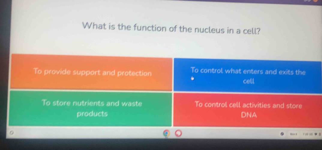 What is the function of the nucleus in a cell?
To control what enters and exits the
To provide support and protection cell
To store nutrients and waste To control cell activities and store
products DNA
1 16