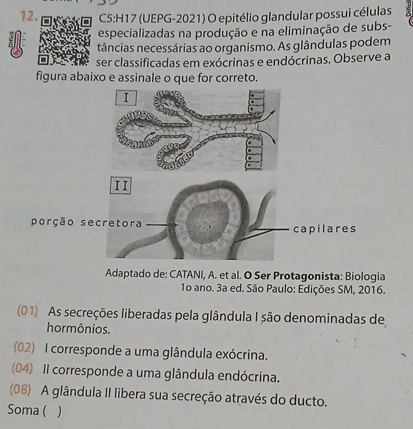 (UEPG-2021) O epitélio glandular possui células

especializadas na produção e na eliminação de subs-
tâncias necessárias ao organismo. As glândulas podem
ser classificadas em exócrinas e endócrinas. Observe a
figura abaixo e assinale o que for correto.
Adaptado de: CATANI, A. et al. O Ser Protagonista: Biologia
1o ano. 3a ed. São Paulo: Edições SM, 2016.
(0 1) As secreções liberadas pela glândula I são denominadas de
hormônios.
(02) I corresponde a uma glândula exócrina.
(04) II corresponde a uma glândula endócrina.
(08) A glândula II libera sua secreção através do ducto.
Soma ( )