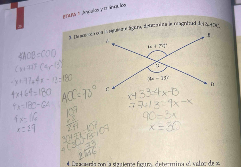 ETAPA 1 Ángulos y triángulos
∠ AOC.
4. De acuerdo con la siguiente figura, determina el valor de x.