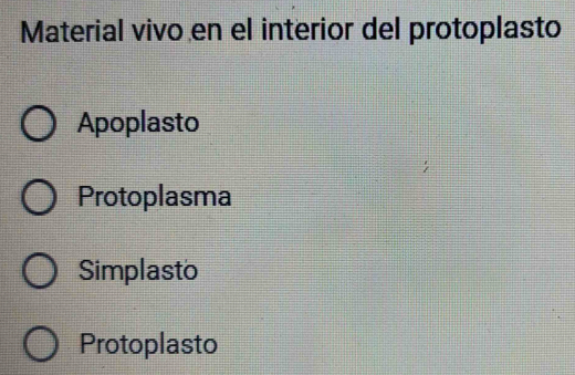 Material vivo en el interior del protoplasto
Apoplasto
Protoplasma
Simplasto
Protoplasto