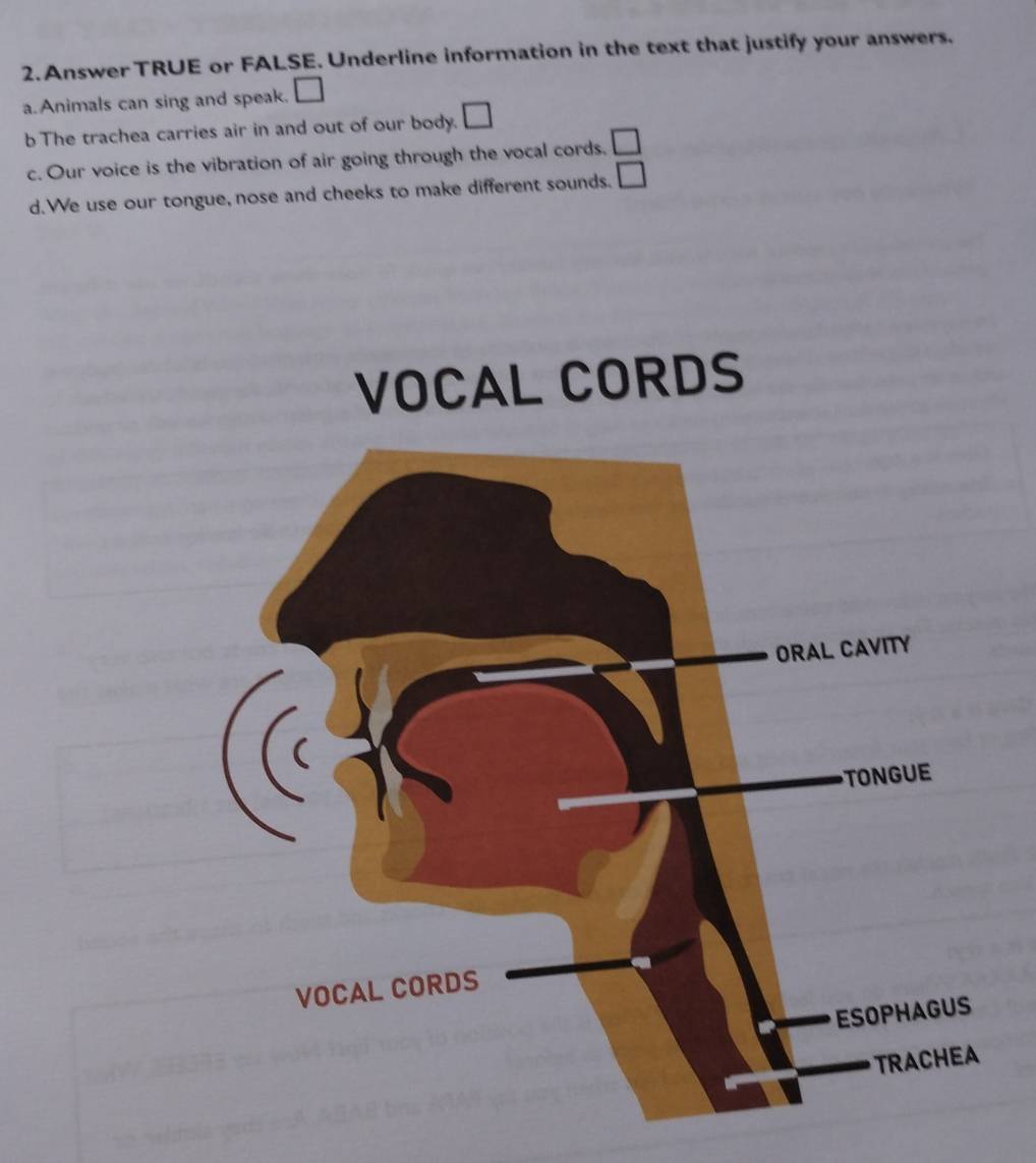 Answer TRUE or FALSE. Underline information in the text that justify your answers. 
a.Animals can sing and speak. □ 
b The trachea carries air in and out of our body. □ 
c. Our voice is the vibration of air going through the vocal cords, □ 
d.We use our tongue, nose and cheeks to make different sounds. □