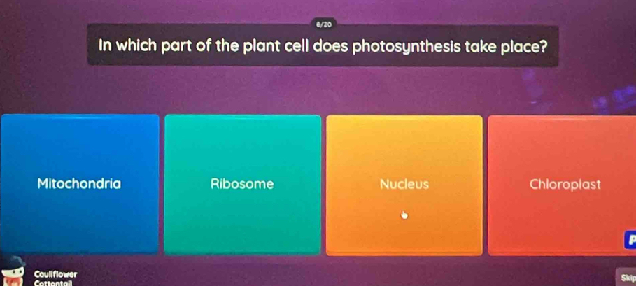 In which part of the plant cell does photosynthesis take place?
Mitochondria Ribosome Nucleus Chloroplast
Cauliflower Skip
Cottontail