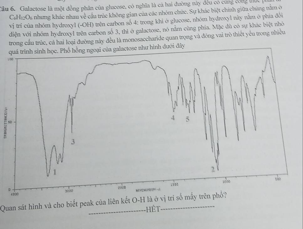 Galactose là một đồng phân của glucose, có nghĩa là cá hai đường này đêu có cúng công thực p 
C₆H12O6 nhưng khác nhau về cấu trúc không gian của các nhóm chức. Sự khác biệt chính giữa chúng nằm ở 
vị trí của nhóm hydroxyl (-OH) trên carbon số 4: trong khi ở glucose. nhóm hydroxyl này nằm ở phía đổi 
diện với nhóm hydroxyl trên carbon số 3, thì ở galactose, nó nằm cùng phía. Mặc dù có sự khác biệt nhó 
trong cấu trúc, cả hai loại đường này đều là monosaccharide quan trọng và đóng vai trò thiết yếu trong nhiều 
ình dưới đây 
1 
= 
Quan sát hình và cho biết peak của liên kết O-H là ở vị trí số mấy trên phổ?