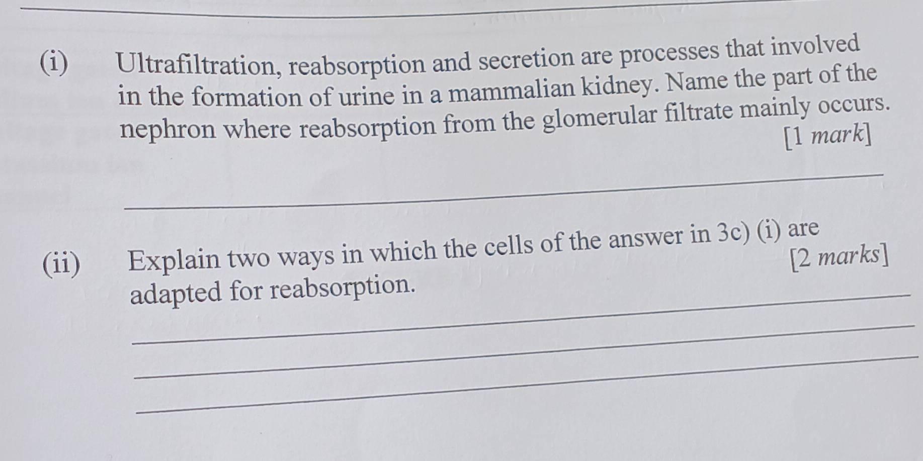 Ultrafiltration, reabsorption and secretion are processes that involved 
in the formation of urine in a mammalian kidney. Name the part of the 
nephron where reabsorption from the glomerular filtrate mainly occurs. 
[1 mark] 
_ 
(ii) Explain two ways in which the cells of the answer in 3c) (i) are 
_ 
adapted for reabsorption. [2 marks] 
_ 
_