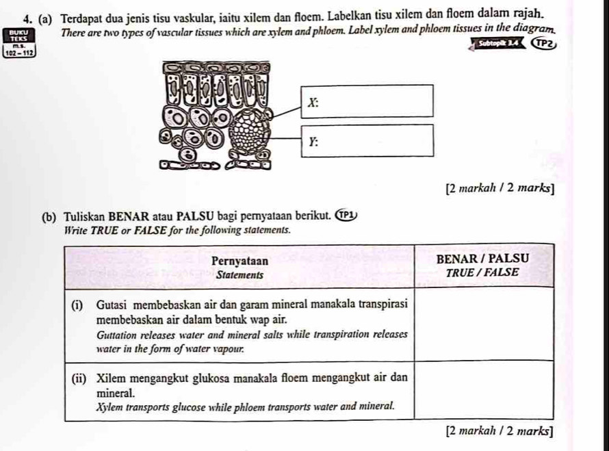 Terdapat dua jenis tisu vaskular, iaitu xilem dan floem. Labelkan tisu xilem dan floem dalam rajah. 
BUKU tECS 
There are two types of vascular tissues which are xylem and phloem. Label xylem and phloem tissues in the diagram.
m s S TP2 
102 - 112 
[2 markah / 2 marks] 
(b) Tuliskan BENAR atau PALSU bagi pernyataan berikut. ⑰ 
Write TRUE or FALSE for the following statements. 
Pernyataan BENAR / PALSU 
Statements TRUE / FALSE 
(i) Gutasi membebaskan air dan garam mineral manakala transpirasi 
membebaskan air dalam bentuk wap air. 
Guttation releases water and mineral salts while transpiration releases 
water in the form of water vapour. 
(ii) Xilem mengangkut glukosa manakala floem mengangkut air dan 
mineral. 
Xylem transports glucose while phloem transports water and mineral. 
[2 markah / 2 marks]