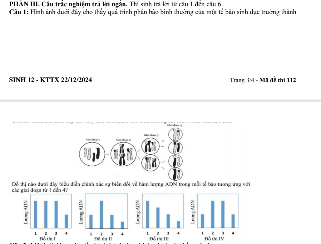 PHẢN III. Câu trắc nghiệm trả lời ngắn. Thí sinh trả lời từ câu 1 đến câu 6. 
Câu 1: Hình ảnh dưới đây cho thấy quá trình phân bào bình thường của một tế bào sinh dục trưởng thành 
SINH 12 - KTTX 22/12/2024 Trang 3/4 - Mã đề thi 112
Đồ thị nào dưới đây biểu diễn chính xác sự biến đồi về hàm lượng ADN trong mỗi tế bào tương ứng với 
các