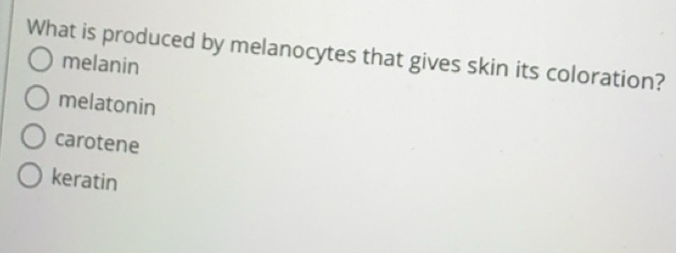 Solved: What is produced by melanocytes that gives skin its coloration ...