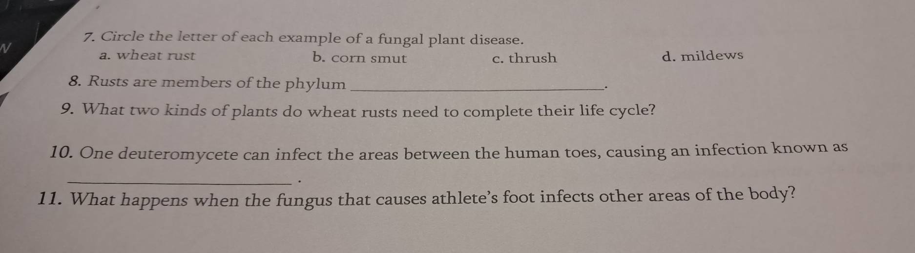 Circle the letter of each example of a fungal plant disease.
V
a. wheat rust b. corn smut c. thrush d. mildews
8. Rusts are members of the phylum_
.
9. What two kinds of plants do wheat rusts need to complete their life cycle?
10. One deuteromycete can infect the areas between the human toes, causing an infection known as
_.
11. What happens when the fungus that causes athlete’s foot infects other areas of the body?