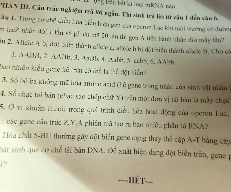 Đại động trên bất kì loại mRNA nào. 
PHÀN III. Câu trắc nghiệm trả lời ngắn. Thí sinh trả lời từ câu 1 đến câu 6. 
Tâu 1. Trong cơ chế điều hòa biểu hiện gen của operon Lac khi môi trường có đường 
en lacZ nhân đôi 1 lần và phiên mã 20 lần thì gen A tiến hành nhân đôi mấy lần? 
iu 2. Allele A bị đột biến thành allele a, allele b bị đột biến thành allele B. Cho cá 
1. AABB, 2. AABb, 3. AaBb, 4. Aabb, 5. aabb, 6. AAbb. 
bao nhiêu kiểu gene kể trên có thể là thể đột biến? 
3. Số bộ ba không mã hóa amino acid (hệ gene trong nhân của sinh vật nhân t 
4. Số chạc tái bản (chạc sao chép chữ Y) trên một dơn vị tái bản là mầy chạc 
5. Ở vi khuẩn E.coli trong quá trình điều hòa hoạt động của operon Lac, 
e, các gene cấu trúc Z, Y,A phiên mã tạo ra bao nhiêu phân tử RNA? 
Hóa chất 5 -BU thường gây đột biến gene dạng thay thế cặp A-T bằng cặp 
hát sinh qua cơ chế tái bản DNA. Để xuất hiện dạng đột biển trên, gene p 
i? 
==--HÉT--=