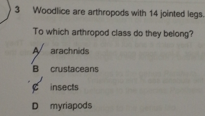 Woodlice are arthropods with 14 jointed legs.
To which arthropod class do they belong?
A arachnids
B crustaceans
C insects
D myriapods