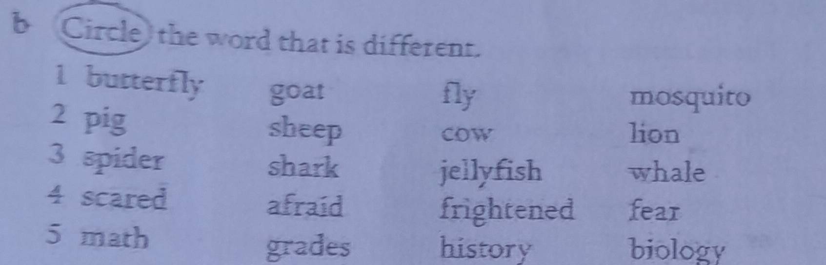 Circle) the word that is different.
1 butterfly
goat fly mosquito
2 pig lion
sheep COW
3 spider
shark
jellyfish whale
4 scared
afraid
frightened fear
5 math
grades history biology