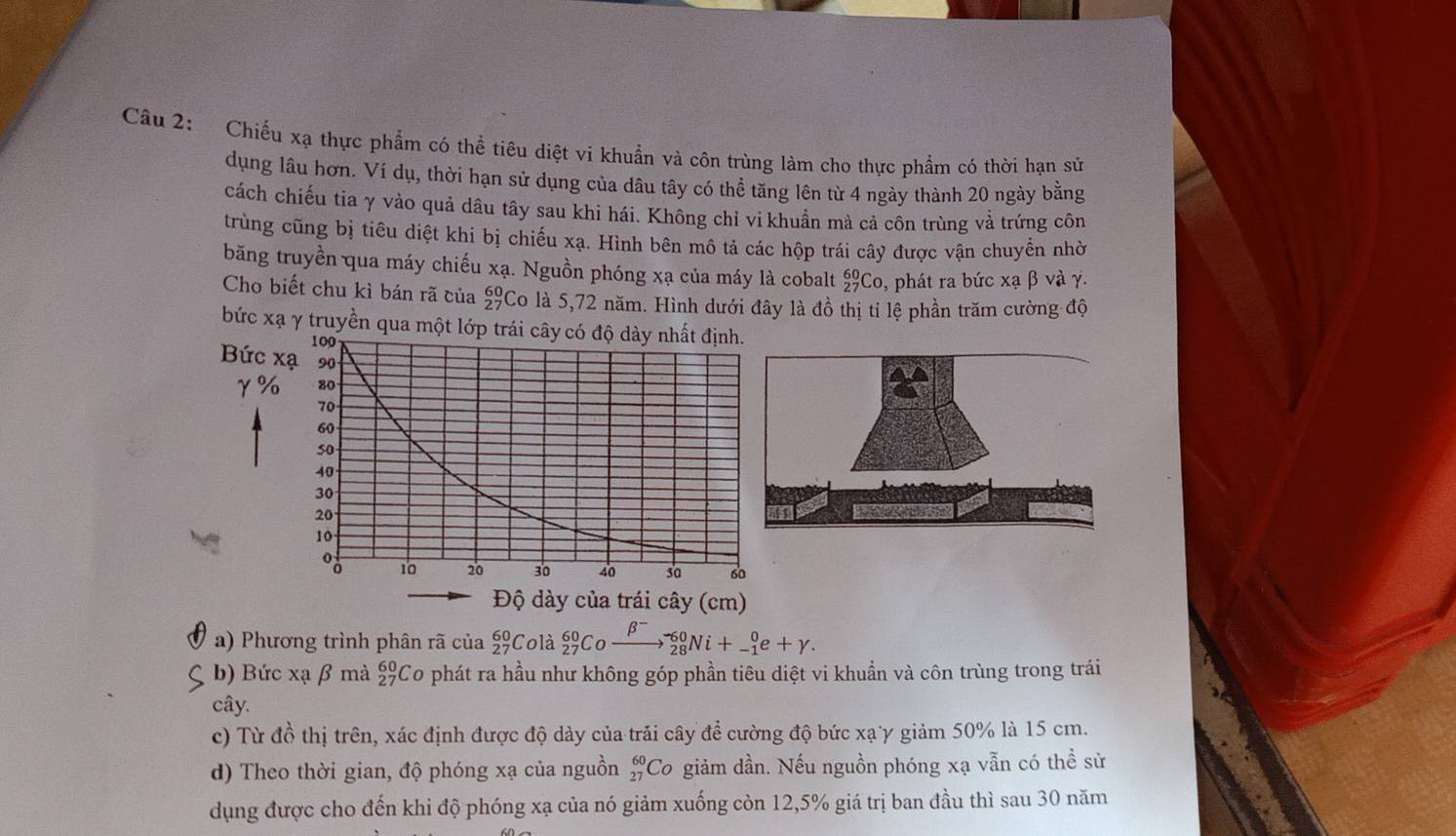 Chiếu xạ thực phẩm có thể tiêu diệt vi khuẩn và côn trùng làm cho thực phẩm có thời hạn sử
dụng lâu hơn. Ví dụ, thời hạn sử dụng của dâu tây có thể tăng lên từ 4 ngày thành 20 ngày bằng
cách chiếu tia γ vào quả dâu tây sau khi hái. Không chỉ vi khuẩn mà cả côn trùng vả trứng côn
trùng cũng bị tiêu diệt khi bị chiếu xạ. Hình bên mô tả các hộp trái cây được vận chuyền nhờ
băng truyền qua máy chiếu xạ. Nguồn phóng xạ của máy là cobalt beginarrayr 60 27endarray Co, phát ra bức xạ β và γ.
Cho biết chu kì bán rã của beginarrayr 60 27endarray Co là 5,72 năm. Hình dưới đây là đồ thị tỉ lệ phần trăm cường độ
bức xạ γ truyền qua một lớp 
Bức x
γ%
dày của trái cây (cm)
a) Phương trình phân rã của beginarrayr 60 27endarray C o là _(27)^(60)Coxrightarrow beta^-_(28)^(-60)Ni+_(-1)^0e+gamma .
b) Bức xạ β mà _(27)^(60)C To phát ra hầu như không góp phần tiêu diệt vi khuẩn và côn trùng trong trái
cây.
c) Từ đồ thị trên, xác định được độ dày của trải cây để cường độ bức xạy giảm 50% là 15 cm.
d) Theo thời gian, độ phóng xạ của nguồn _(27)^(60)C Co giảm dần. Nếu nguồn phóng xạ vẫn có thể sử
dụng được cho đến khi độ phóng xạ của nó giảm xuống còn 12,5% giá trị ban đầu thì sau 30 năm