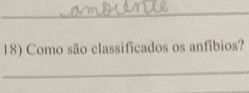 Como são classificados os anfibios? 
_