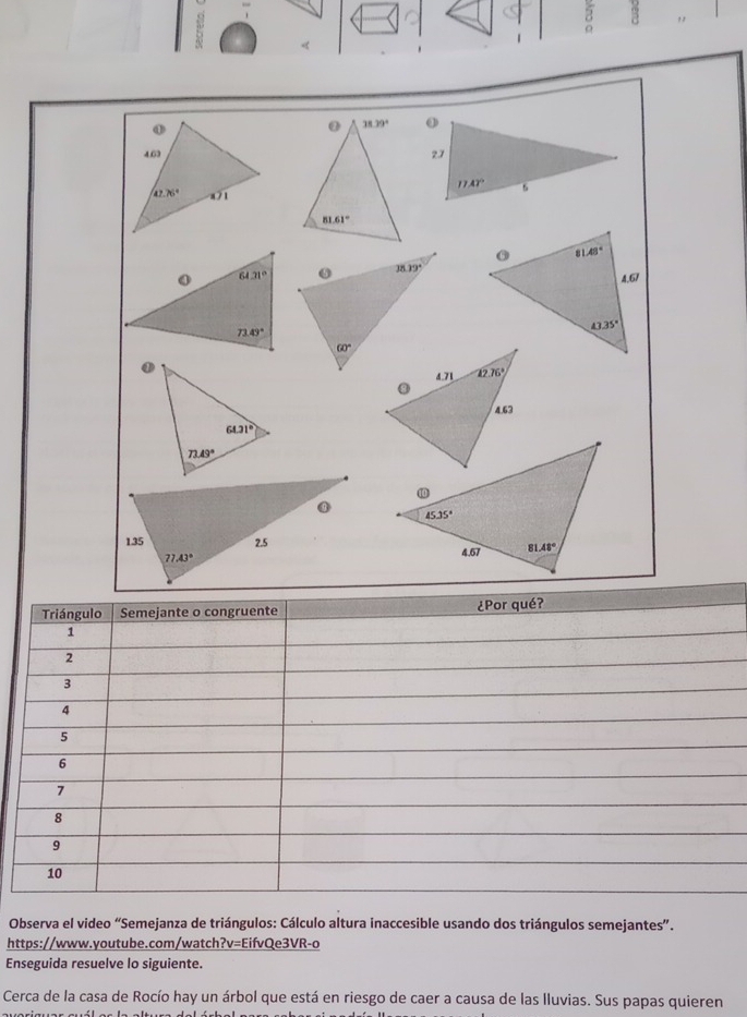 Triángulo Semejante o congruente ¿Por qué?
1
2
3
4
5
6
7
8
9
10
Observa el video “Semejanza de triángulos: Cálculo altura inaccesible usando dos triángulos semejantes”.
https://www.youtube.com/watch?v=EifvQe3VR-o
Enseguida resuelve lo siguiente.
Cerca de la casa de Rocío hay un árbol que está en riesgo de caer a causa de las lluvias. Sus papas quieren