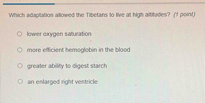 Which adaptation allowed the Tibetans to live at high altitudes? (1 point)
lower oxygen saturation
more efficient hemoglobin in the blood
greater ability to digest starch
an enlarged right ventricle