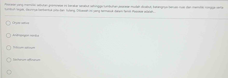 Poɑceæe yang memiliki sebutan grøminede ini berakar serabut sehingga tumbuhan poαceæe mudah dicabut, batangnya beruas-ruas dan memiliki rongga serta
tumbuh tegak, daunnya berbentuk pita dan tulang. Dibawah ini yang termasuk dalam famili Poσcede adalah...
Oryza sativa
Andropogon nardus
Triticum sativum
Sacharum offinarum