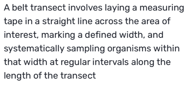 A belt transect involves laying a measuring 
tape in a straight line across the area of 
interest, marking a defined width, and 
systematically sampling organisms within 
that width at regular intervals along the 
length of the transect