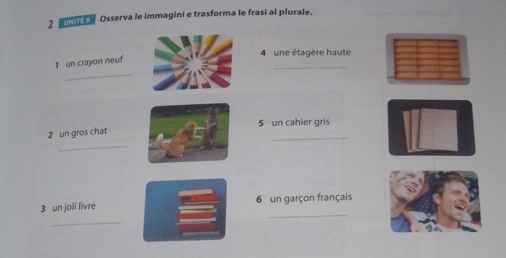 UNI9 Osserva le immagini e trasforma le frasi al plurale. 
4 une étagère haute 
_ 
_ 
1 un crayon neuf 
5 un cahier gris 
_ 
2 un gros chat 
_ 
_ 
3 un joli livre 6 un garçon français 
_