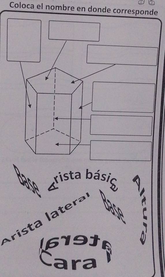 Coloca el nombre en donde corresponde
rista básic
Arista latera
1619]
Cara