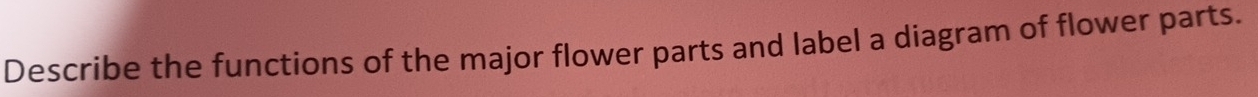 Describe the functions of the major flower parts and label a diagram of flower parts.