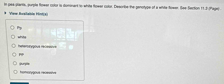 In pea plants, purple flower color is dominant to white flower color. Describe the genotype of a white flower. See Section 11.3 (Page) .
View Available Hint(s)
Pp
white
heterozygous recessive
PP
purple
homozygous recessive