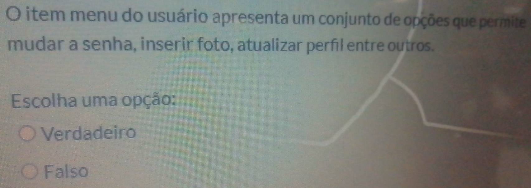 item menu do usuário apresenta um conjunto de opções que permite
mudar a senha, inserir foto, atualizar perfil entre outros.
Escolha uma opção:
Verdadeiro
Falso