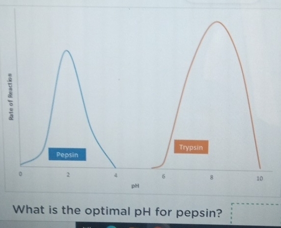 What is the optimal pH for pepsin?