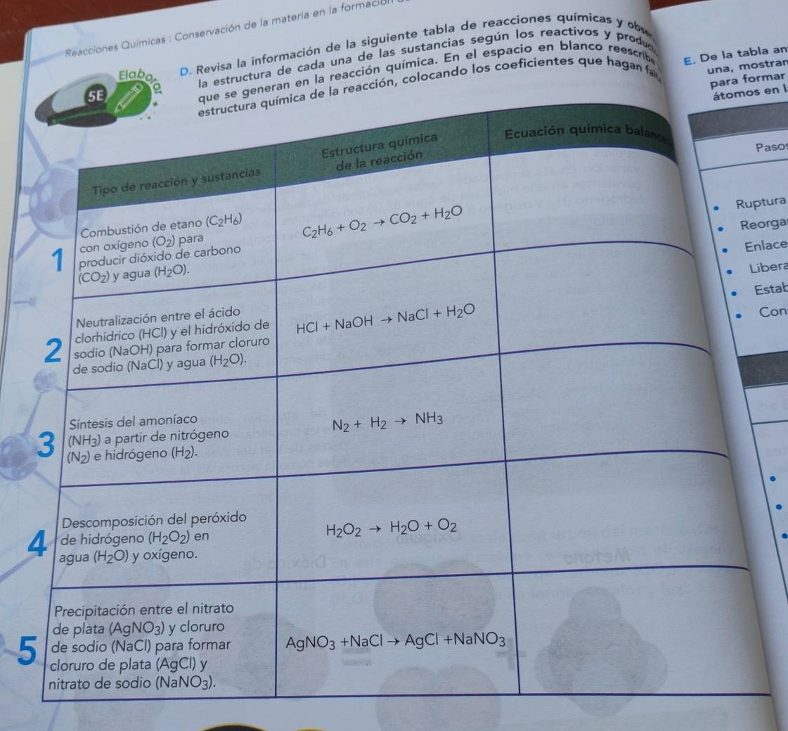 Reacciones Químicas : Conservación de la materia en la formación
Elabo  D. Revisa la información de la siguiente tabla de reacciones químicas y ob
la estructura de cada una de las sustancias según los reactivos y produa
n en la reacción química. En el espacio en blanco reescrib E. De la tabla an
para formar
ión, colocando los coeficientes que hagan fa una, mostran
s en l
Pasos
ptura
eorga
nlace
ibera
Estab
Con
5