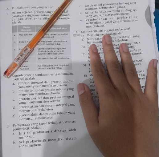 Pilihlah jawaban yang benar! c. Respirasi sel prokariotik berlangsung
di organel bermembran ganda.
1. Dalam sejarah perkembanga , sel, d. Sel prokariotik memiliki dinding sel
pasangan yang sesuai antara n nuwan yang tersusun atas peptidoglikan.
en a teori di ikannya e. Pembelahan sel prokariotik
dalah . . .
mikrotubulus melibatkan organel yang tersusun atas
4. Cermati ciri-ciri organel sel berikut!
_⑤ 1) Memiliki membran ganda.
2) Merupaka: berisi enzi bng membran yang m hidrolitik.
t D NA
tom
3 D rian , RN nya rotein.
5
embran
4) N kar jar
11 ah ha rbentuk
S a. entuk 
5 T a puk-
k p
?1
Contoh protein struktural yang dite rista
pada sel adalah . . . 6) M aan
un
a. protein integral dan protein tubulin me Dan
yang menyusun membran plasma
b. protein aktin dan protein tubulin yang oks
P
pa
menyusun membran plasma
c. protein perifer dan protein integral n r 
ngst
yang menyusun sitoskeleton cirl
d. protein aktin dan protein integral yang
menyusun sitoskeleton. protein aktin dan protein tubulin yang
menyusun sitoskeleton
3. Pernyataan yang tepat terkait struktur sel
prokariotik adalah . . .
a. Inti sel prokariotik dibatasi oleh
membran.
b. Sel prokariotik memiliki sistem
endomembran.