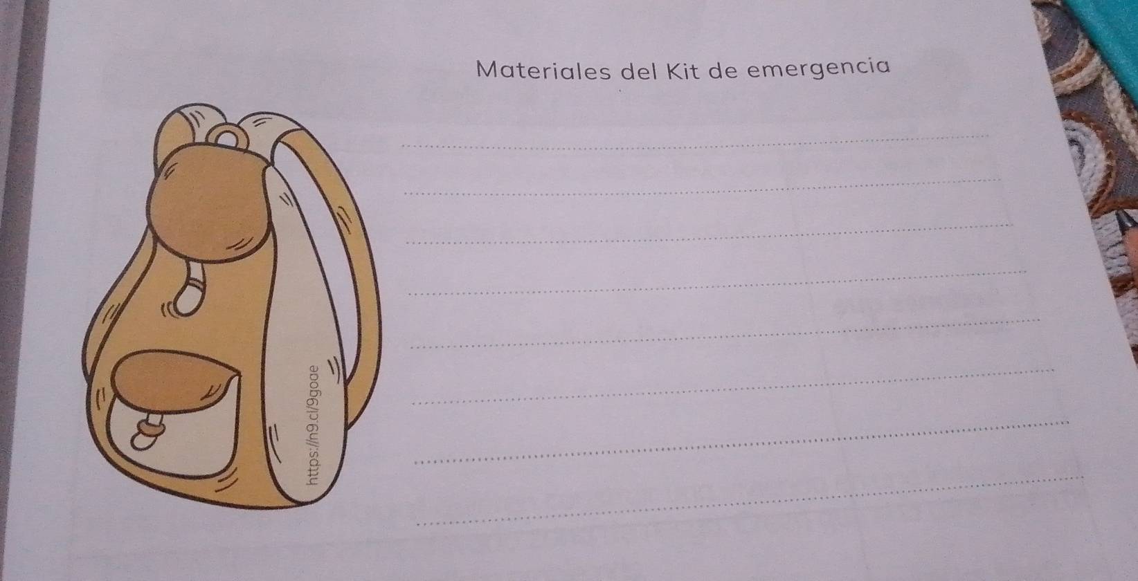 Materiales del Kit de emergencia 
_ 
_ 
_ 
_ 
_ 
_ 
_ 
_