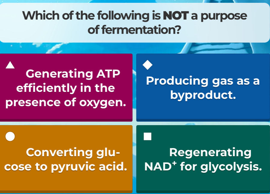 Which of the following is NOT a purpose
of fermentation?
Generating ATP
efficiently in the
Producing gas as a
byproduct.
presence of oxygen.
Converting glu- Regenerating
cose to pyruvic acid. NAD* for glycolysis.