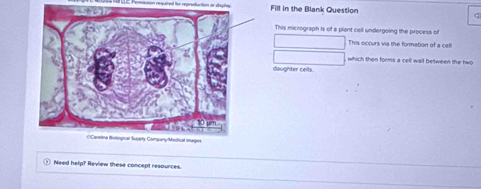 Hill LLC. Permission required for reproduction ar display. Fill in the Blank Question 
q 
This micrograph is of a plant cell undergoing the process of 
This occurs via the formation of a cell 
which then forms a cell wall between the two 
daughter ceils. 
Need help? Review these concept resources.