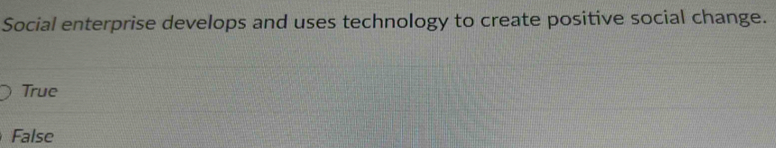 Social enterprise develops and uses technology to create positive social change.
True
False