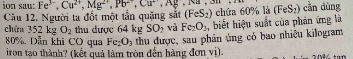 ion sau: Fe^(3+), Cu^(2+), Mg^(2+), Pb^(2+), Cu^(2+), Ag, Na JL
Câu 12. Người ta đốt một tần quặng sắt (FeS_2) chứa 60% là (FeS_2) cần dùng 
chứa 352kgO_2 thu được 64kgSO_2 và Fe_2O_3 , biết hiệu suất của phản ứng là
80%. Dẫn khí CO qua Fe_2O_3 thu được, sau phản ứng có bao nhiêu kilogram 
iron tạo thành? (kết quả làm tròn đến hàng đơn vị).
20% tan