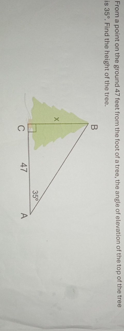 From a point on the ground 47 feet from the foot of a tree, the angle of elevation of the top of the tree
is 35°. Find the height of the tree.