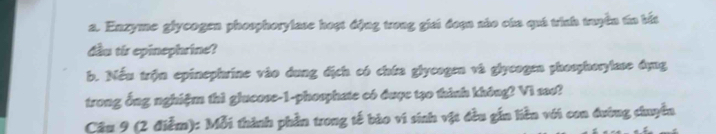 Enzyme glycogen phosphorylase hoạt động trong giai đoạn nào của quá trình truyền tn bắt 
đầu tir epinephrine? 
b. Nếu trận epinephrine vào dung địch có chứa glycogen và glycogen phosphorylase dụng 
trong ống nghiệm thì glucose-1-phosphate có được tạo thình không? Vi sao? 
Câu 9 (2 điễm): Mỗi thành phần trong tế bào vi sinh vật đều gắn liên với con đường chuyển