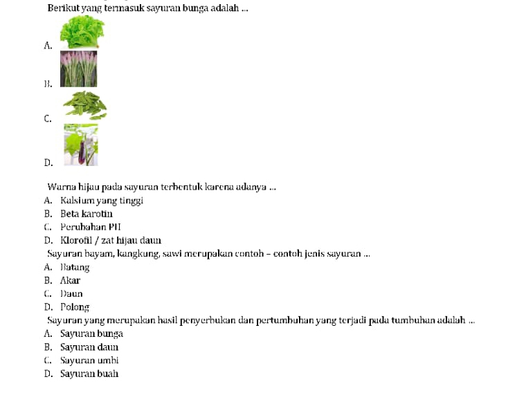 Berikut yang termasuk sayuran bunga adalah ...
A.
B.
C.
D.
Warna hijau pada sayuran terbentuk karena adanya ...
A. Kalsium yang tinggi
B. Beta karotin
C. Perubahan PII
D. Klorofil / zat hijau daun
Sayuran bayam, kangkung, sawi merupakan contoh - contoh jenis sayuran ...
A. Batang
B. Akar
(;. 1)aun
D. Polong
Sayuran yang merupakan hasil penyerbukan dan pertumbuhan yang terjadi pada tumbuhan adalah ...
A. Sayuran bunga
B. Sayuran daun
C. Sayuran umbi
D. Sayuran buah