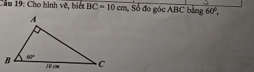 Cầu 19: Cho hình vẽ, biết BC=10cm , Số đo góc ABC bằng 60°,