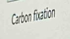 Carbon fixation