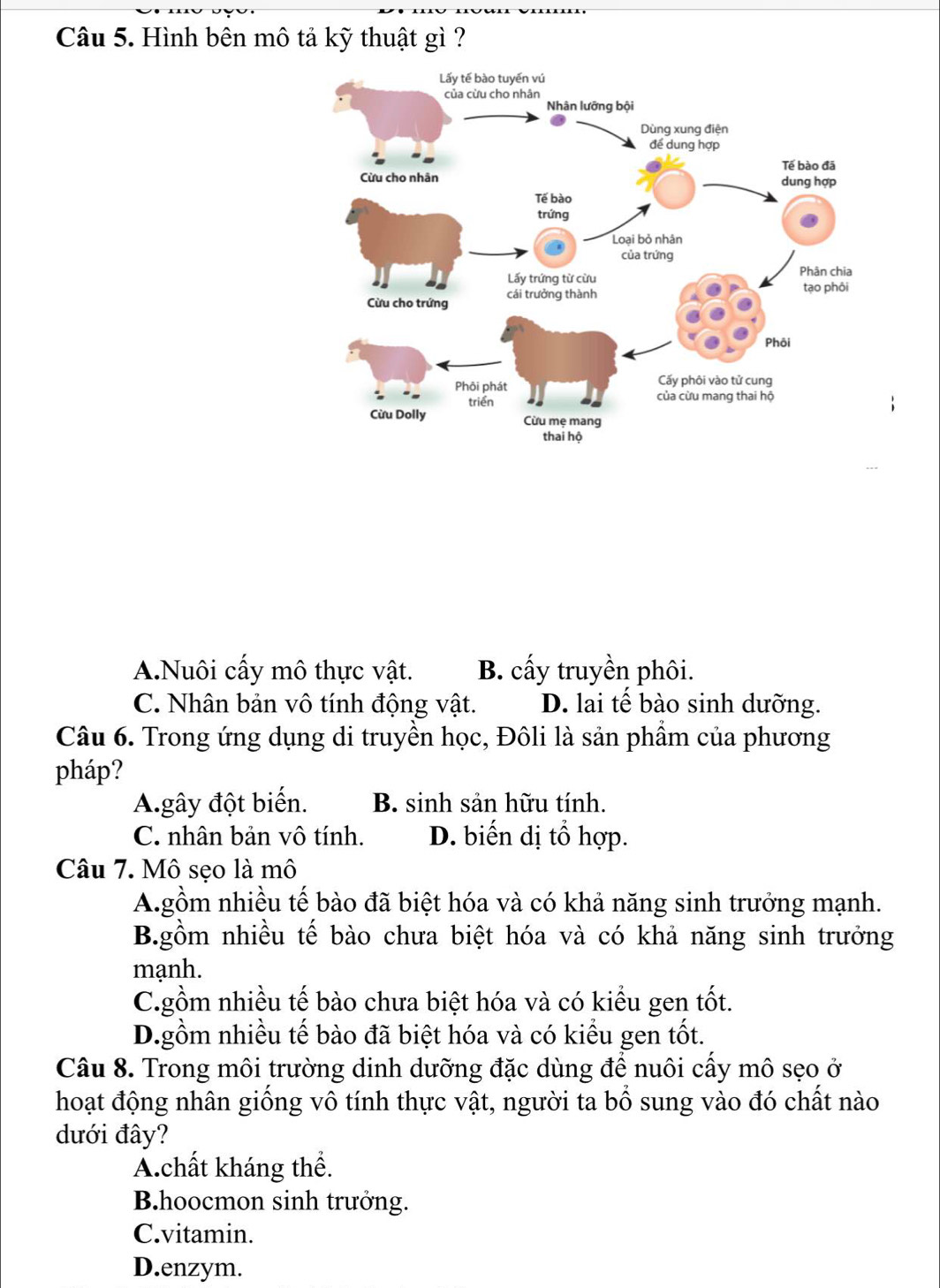 Hình bên mô tả kỹ thuật gì ?
A.Nuôi cấy mô thực vật. B. cấy truyền phôi.
C. Nhân bản vô tính động vật. D. lai tế bào sinh dưỡng.
Câu 6. Trong ứng dụng di truyền học, Đôli là sản phầm của phương
pháp?
A.gây đột biến. B. sinh sản hữu tính.
C. nhân bản vô tính. D. biến dị tổ hợp.
Câu 7. Mô sẹo là mô
A.gồm nhiều tế bào đã biệt hóa và có khả năng sinh trưởng mạnh.
B.gồm nhiều tế bào chưa biệt hóa và có khả năng sinh trưởng
mạnh.
C.gồm nhiều tế bào chưa biệt hóa và có kiểu gen tốt.
D.gồm nhiều tế bào đã biệt hóa và có kiểu gen tốt.
Câu 8. Trong môi trường dinh dưỡng đặc dùng để nuôi cầy mô sẹo ở
hoạt động nhân giống vô tính thực vật, người ta bồ sung vào đó chất nào
dưới đây?
A.chất kháng thể.
B.hoocmon sinh trưởng.
C.vitamin.
D.enzym.