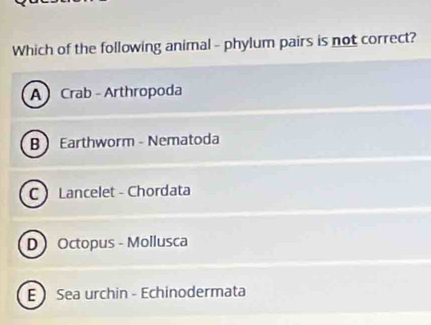 Which of the following animal - phylum pairs is not correct?
A Crab - Arthropoda
B Earthworm - Nematoda
C Lancelet - Chordata
D Octopus - Mollusca
E Sea urchin - Echinodermata