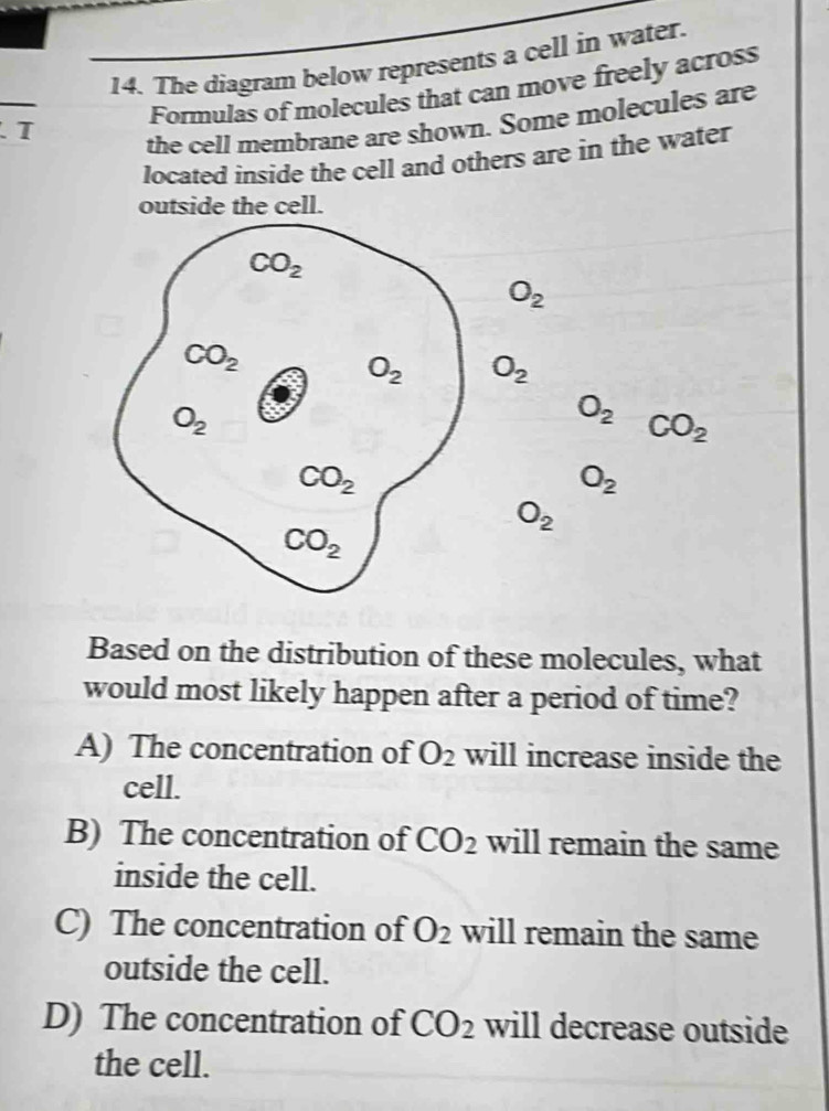 The diagram below represents a cell in water.
T Formulas of molecules that can move freely across
the cell membrane are shown. Some molecules are
located inside the cell and others are in the water
outside the cell.
O_2
O_2
O_2 CO_2
O_2
O_2
Based on the distribution of these molecules, what
would most likely happen after a period of time?
A) The concentration of O_2 will increase inside the
cell.
B) The concentration of CO_2 will remain the same
inside the cell.
C) The concentration of O_2 will remain the same
outside the cell.
D) The concentration of CO_2 will decrease outside
the cell.