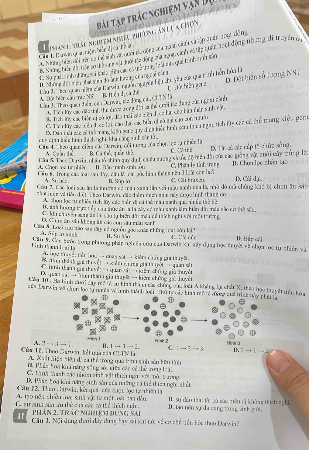 bài tập trác nghiệm vận Dụi
1phân 1: trác nghiệm nhiều phương án lựa chọn
A. Những biển đổi trên cơ thể sinh vật dưới tác động của ngoại cảnh và tập quán hoạt động
Câu 1. Darwin quan niệm biến dị cá thể là :
B. Những biển đổi trên cơ thể sinh vật dưới tác động của ngoại cảnh và tập quán hoạt động nhưng di truyền đực
C. Sự phát sinh những sai khác giữa các cá thể trong loài qua quá trình sinh sản
D. Những đột biển phát sinh do ảnh hưởng của ngoại cảnh
Cầu 2. Theo quan niệm của Darwin, nguồn nguyên liệu chủ yếu của quá trình tiến hóa là
A. Đột biến cầu trúc NST B. Biến dị cá thể C. Đột biến gene D. Đột biến số lượng NST
Câu 3. Theo quan điểm của Darwin, tác động của CLTN là
A. Tích lũy các đặc tính thu được trong đời cá thể dưới tác dụng của ngoại cảnh
B. Tích lũy các biển dị có lợi, đào thải các biến dị có hại cho bản thân sinh vật.
C. Tích lũy các biến dị có lợi, đào thải các biến dị có hại cho con người
D. Đào thải các cá thể mang kiểu gene quy định kiểu hỉnh kém thích nghi, tích lũy các cá thể mang kiểu geng
quy định kiểu hình thích nghi, khả năng sinh sản tốt.
Câu 4. Theo quan điểm của Darwin, đổi tượng của chọn lọc tự nhiên là
A. Quần thể. B. Cá thể, quần thể. C. Cá thể. D. Tất cả các cấp tổ chức sống.
Câu 5. Theo Darwin, nhân tổ chính quy định chiều hướng và tốc độ biến đổi của các giống vật nuôi cây trồng là:
A. Chọn lọc tự nhiên  B. Đấu tranh sinh tồn C. Phân ly tính trạng D. Chọn lọc nhân tạo
Câu 6. Trong các loài sau đây, đâu là loài gốc hình thành nên 3 loài còn lại?
A. Su hào. B. Súp lơ. C. Cải bruxen. D. Cải dại.
Câu 7. Các loài sâu ăn lá thường có màu xanh lẫn với màu xanh của lá, nhờ đó mà chúng khó bị chim ăn sâu
phát hiện và tiêu diệt. Theo Darwin, đặc điểm thích nghi này dược hình thành do
A. chọn lọc tự nhiên tích lũy các biển dị cá thể màu xanh qua nhiều thế hệ.
B. ảnh hưởng trực tiếp của thức ăn là lá cây có màu xanh làm biến đổi màu sắc cơ thể sâu.
C. khi chuyển sang ăn lá, sâu tự biến đồi màu đề thích nghi với môi trường.
D. Chim ăn sâu không ăn các con sâu màu xanh
Câu 8. Loại rau nào sau dây có nguồn gốc khác những loại còn lại?
A. Súp lơ xanh B. Su hào C. Cải cúc
D. Bắp cải
Câu 9. Các bước trong phương pháp nghiên cứu của Darwin khi xây dựng học thuyết về chọn lọc tự nhiên và
hình thành loài là
A. học thuyết tiến hóa → quan sát → kiểm chứng giả thuyết.
B. hình thành giả thuyết → kiểm chứng giả thuyết → quan sát.
C. hình thành giả thuyết → quan sát → kiểm chứng giả thuyết.
D. quan sát → hình thành giả thuyết → kiểm chứng giả thuyết.
Câu 10 . Ba hình dưới đây mô tả sự hình thành các chủng của loài A kháng lại chất X; theo học thuyết tiến hóa
của Darwin về chọn lọc tự nhiên và hình thành loài. Thứ tự các hình mô tả đúng quá trình này phải là

9
Hình 1 Hình 2
Hình 3
A. 2 → 3 → 1. B. 1 → 3 → 2. C. 1 → 2 → 3. D. 3 → 1 → 2
Câu 11. Theo Darwin, kết quả của CLTN là
A. Xuất hiện biến dị cá thể trong quá trình sinh sản hữu tính.
B. Phân hoá khả năng sống sót giữa các cá thể trong loài.
C. Hình thành các nhóm sinh vật thích nghi với môi trường.
D. Phân hoá khả năng sinh sản của những cá thể thích nghi nhất.
Câu 12. Theo Darwin, kết quả của chọn lọc tự nhiên là
A. tạo nên nhiều loài sinh vật từ một loài ban đầu. B. sự dào thải tất cả các biến dị không thích nghi.
C. sự sinh sản ưu thế của các cá thể thích nghi. D. tạo nên sự đa dạng trong sinh giới.
phần 2. trác nghiệm đúng sai
II Câu 1. Nội dung dưới đây đúng hay sai khi nói về cơ chế tiến hóa theo Darwin?