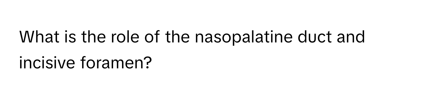 What is the role of the nasopalatine duct and incisive foramen?