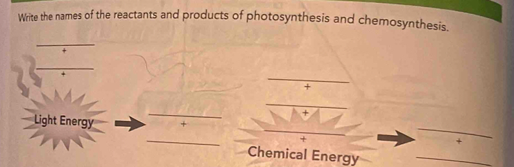 Write the names of the reactants and products of photosynthesis and chemosynthesis. 
+ 
_ 
_ 
Light Energy 
+ 
_ 
+ 
+ 
Chemical Energy_