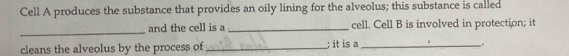 Cell A produces the substance that provides an oily lining for the alveolus; this substance is called 
_ 
and the cell is a _cell. Cell B is involved in protection; it 
cleans the alveolus by the process of _; it is a _.